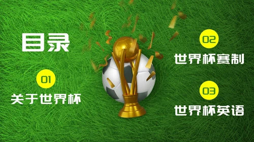 实景现代足球世界杯主题科普PPT模板