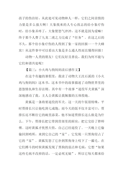 小火鸡与狗妈妈读后感500字.docx