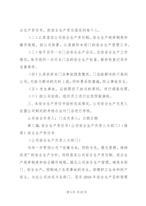 安全生产责任书(公司法人代表与公司安全生产负责人).docx