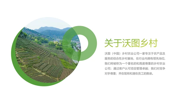 绿色乡村文化旅游新农村建设农业PPT模板