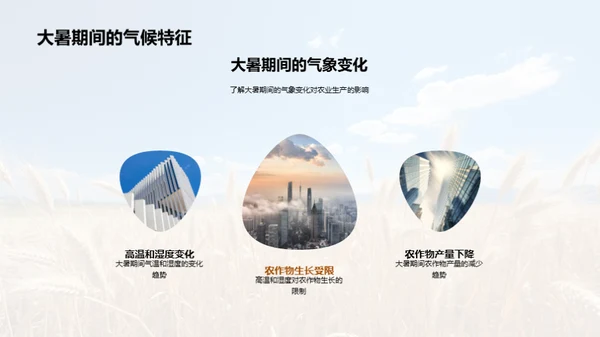 大暑农业应对策略