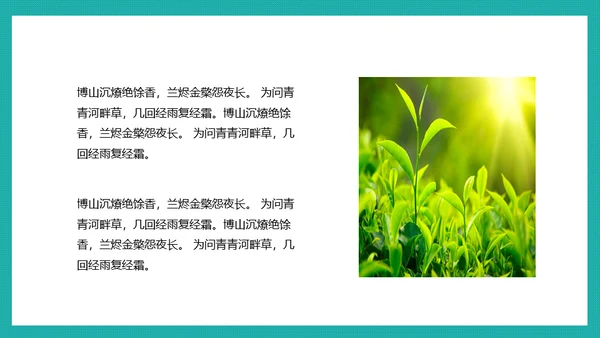 泛舟湖上通用PPT模板