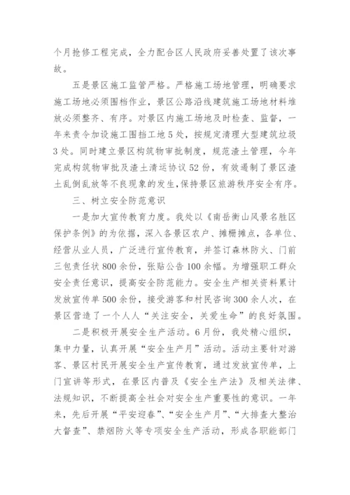 景区安全生产工作总结.docx