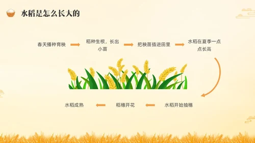 黄色水彩插画农民丰收节主题班会PPT