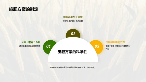 小麦种植科技解读