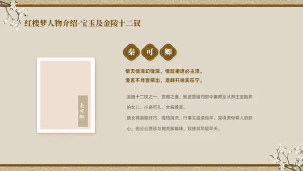 褐色复古中国风中国四大名著之红楼梦人物介绍PPT