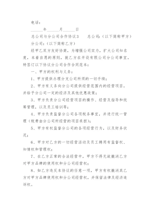 总公司与分公司合作协议_1.docx