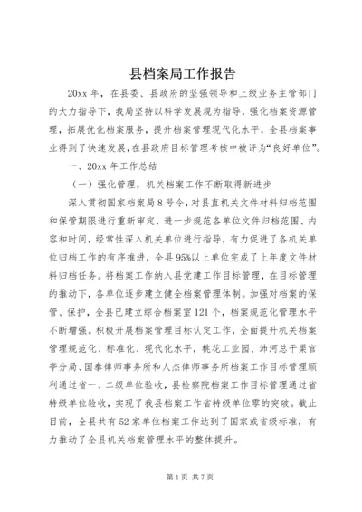 县档案局工作报告 (3).docx