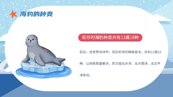 世界海豹日小海豹通用PPT模板