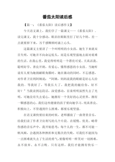 番茄太阳读后感.docx