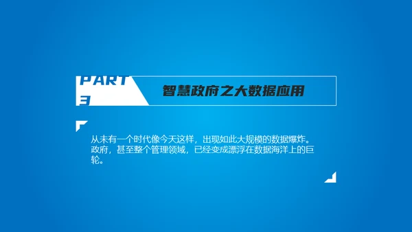 《智慧政府》读书笔记通用PPT