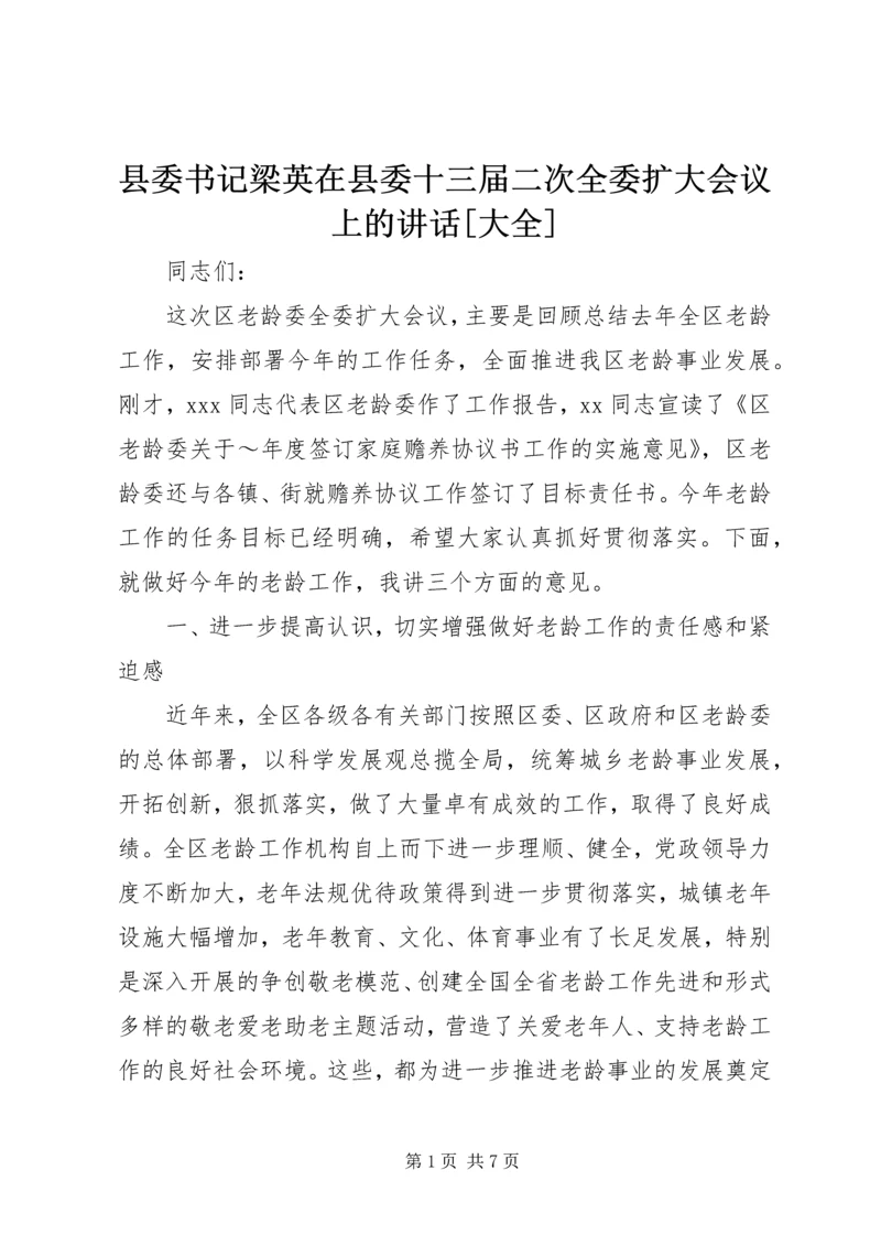 县委书记梁英在县委十三届二次全委扩大会议上的讲话[大全] (4).docx