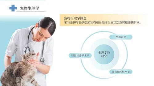 实拍风宠物解剖生理宠物解剖生理讲座PPT