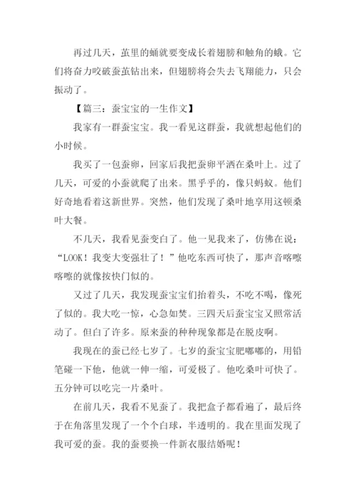 蚕宝宝的一生作文.docx
