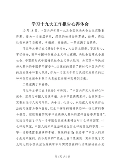 学习十九大工作报告心得体会.docx