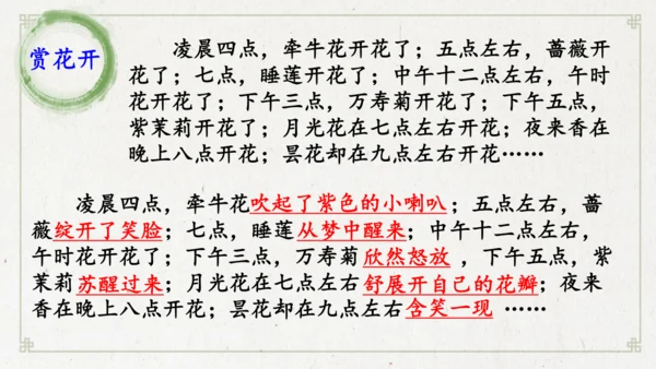 13《花钟》（课件）