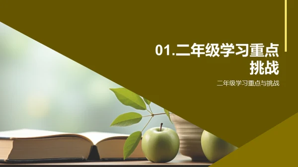 二年级学习全解析
