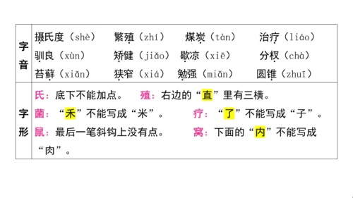 统编版语文五年级上册第五单元核心知识梳理课件