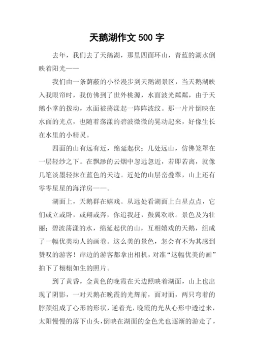 天鹅湖作文500字.docx