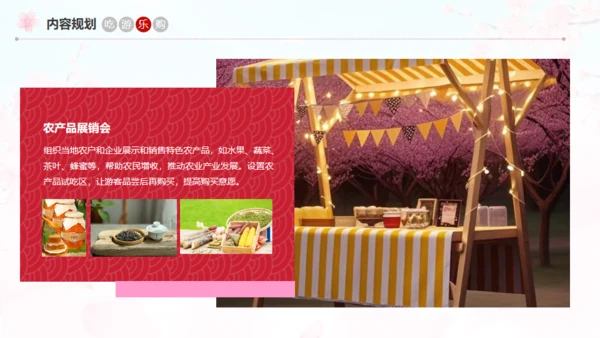 小镇桃花节策划方案通用PPT