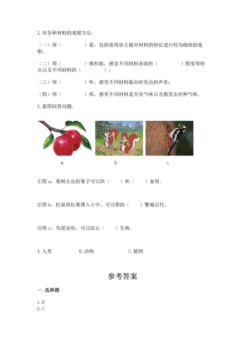 教科版科学二年级上册《期末测试卷》带答案（达标题）.docx