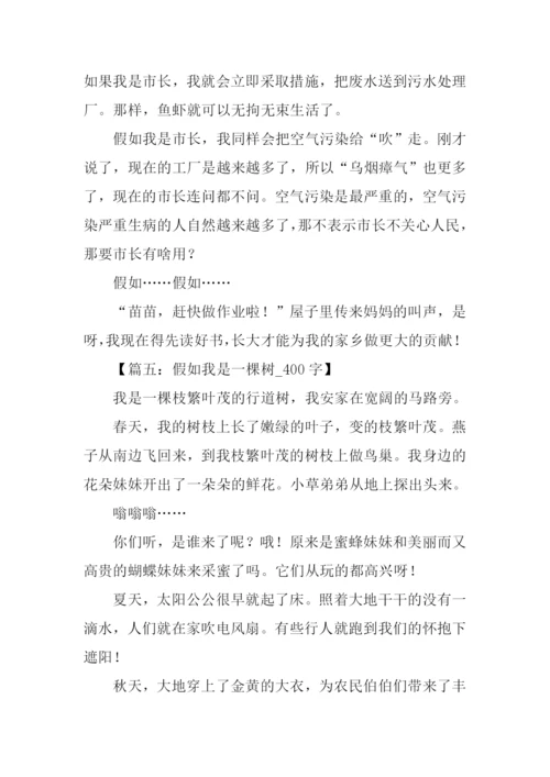 假如我是作文.docx