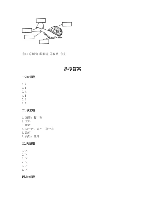 教科版一年级下册科学期末测试卷精品【巩固】.docx