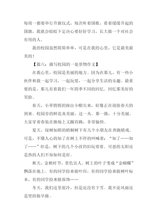 描写校园的一处景物作文.docx