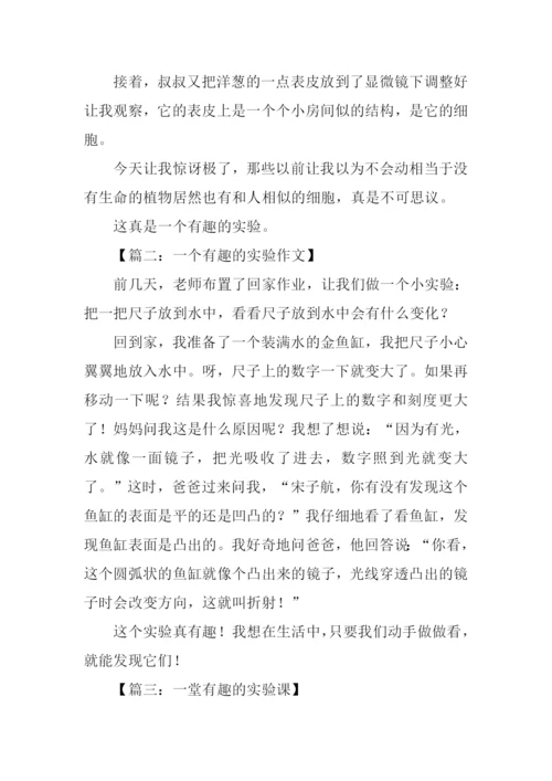 一个有趣的实验作文.docx