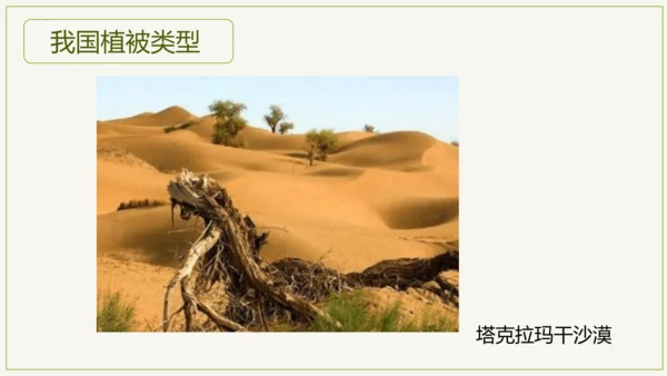 3.6 爱护植被，绿化祖国2023-2024学年七年级生物上学期同步精品课件（人教版）(共21张PP