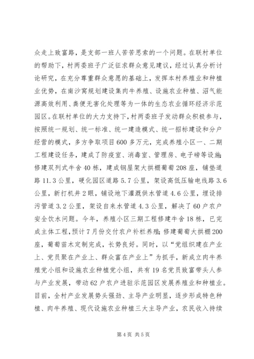 某村先进基层党组织典型材料.docx