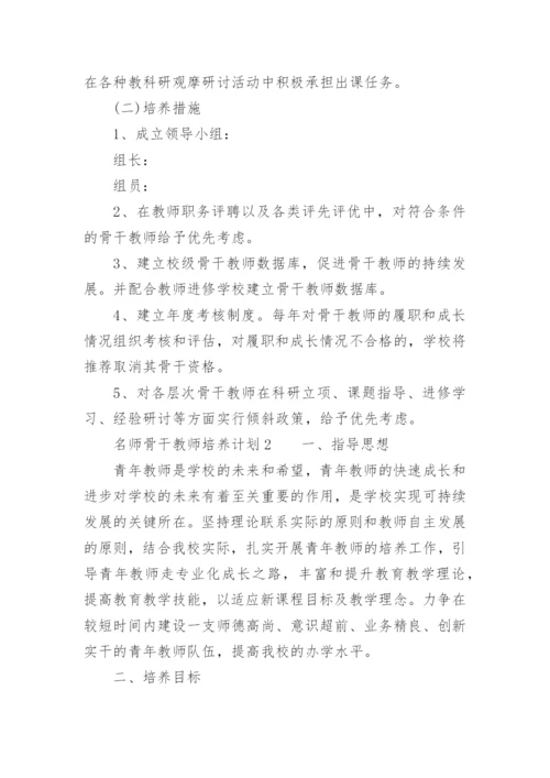 名师骨干教师培养计划.docx