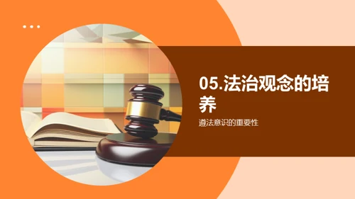 法治社会的理解与实践