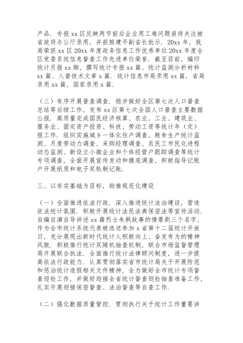 区统计局推进统计法治建设年度总结.docx