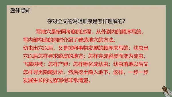 八年级下册蝉课件PPT模板
