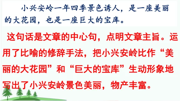 20.美丽的小兴安岭   课件