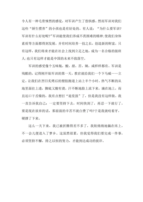 初中军训总结500字5篇.docx