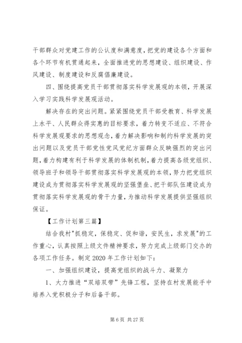村支部书记XX年工作计划 (2).docx
