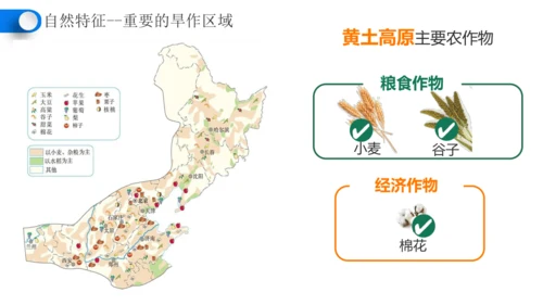 6.1自然特征与农业（课件28张）-人教版地理八年级下册