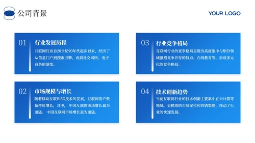 蓝色商务风财务年度执行情况总结