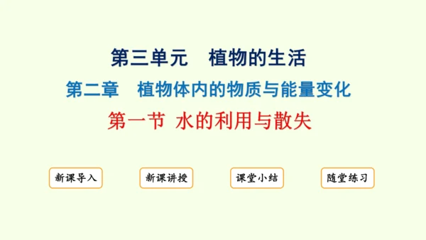 3.2.1水的利用与散失-七年级生物下学期同步精品课件（2024人教版）(共32张PPT)