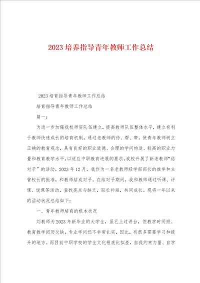 2023年培养指导青年教师工作总结