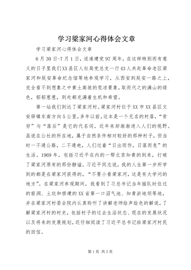 学习梁家河心得体会文章 (2).docx