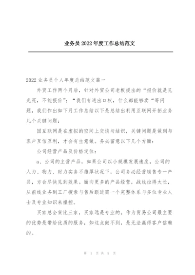 业务员2022年度工作总结范文.docx