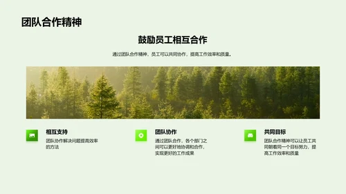 优秀团队年度汇报