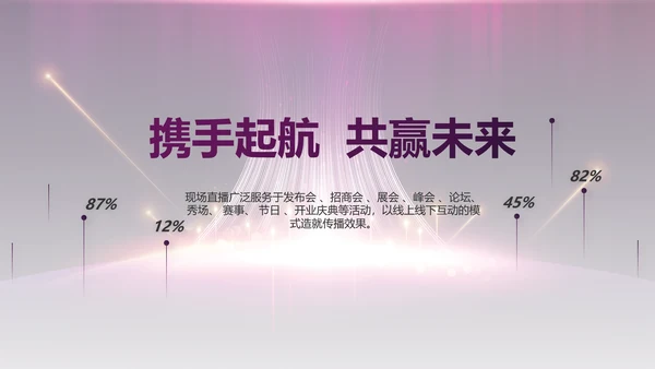 紫色公司品牌发布会策划方案工作总结PPT
