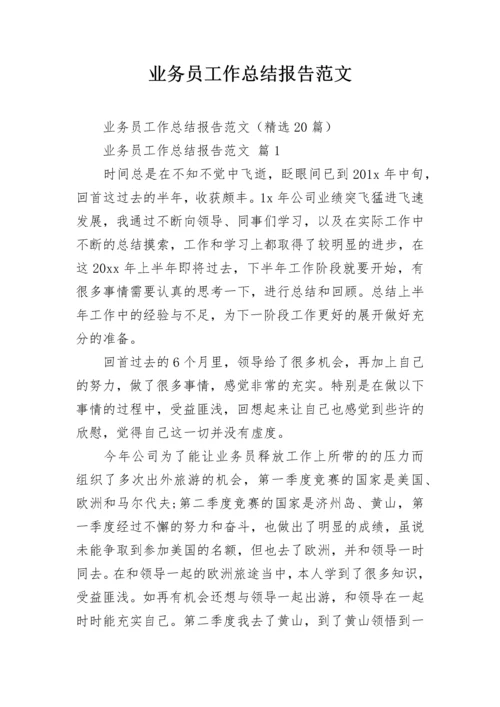 业务员工作总结报告范文.docx