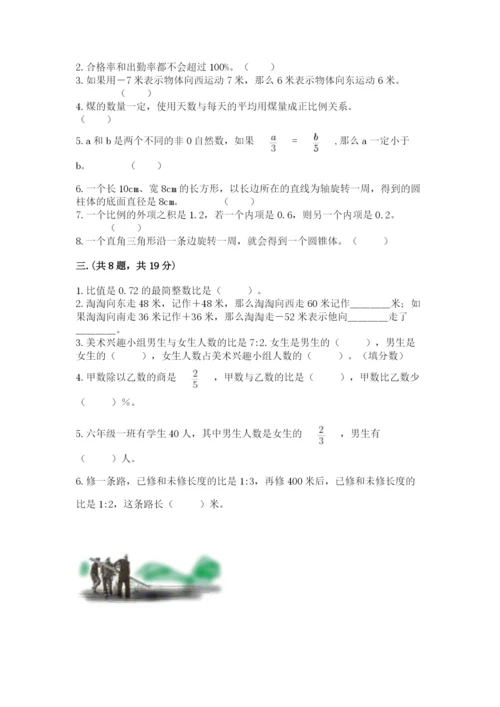 苏教版六年级数学小升初试卷及完整答案【典优】.docx