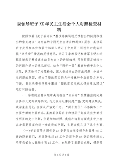 委领导班子XX年民主生活会个人对照检查材料.docx