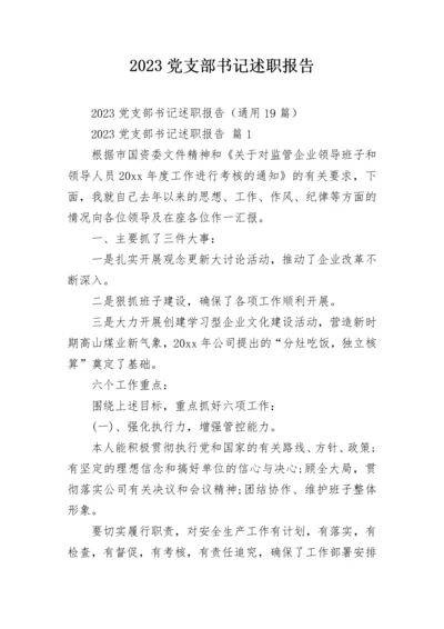 2023党支部书记述职报告.docx